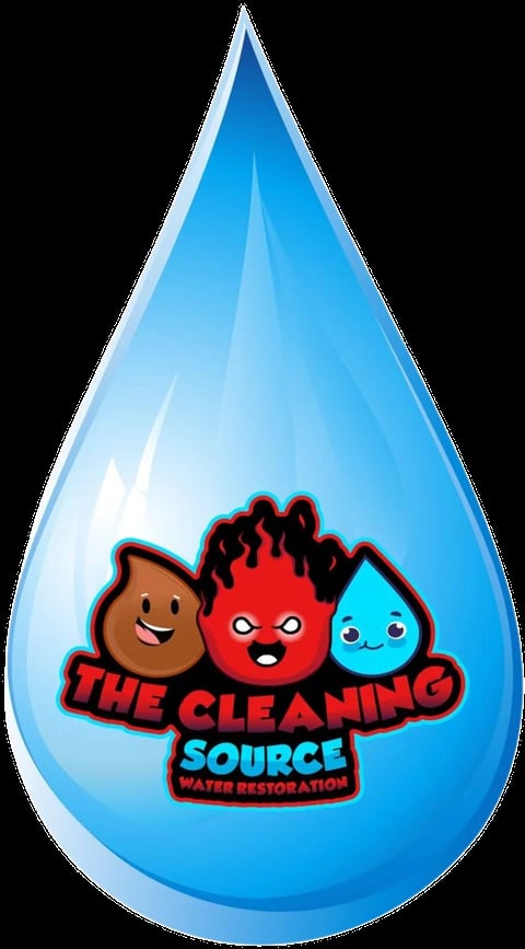 The Cleaning Source photo