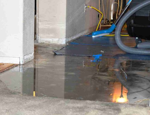 How Homeowners Can Protect Their Basements From Water Damage