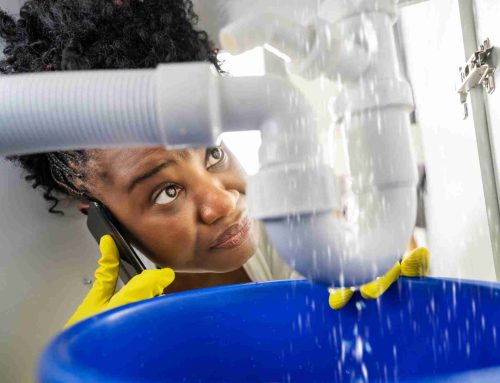 DIY VS Professional Water Damage Restoration: Which Is Right For You?